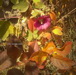 Paeiz93 (3)_resize.JPG